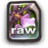 RAW Icon